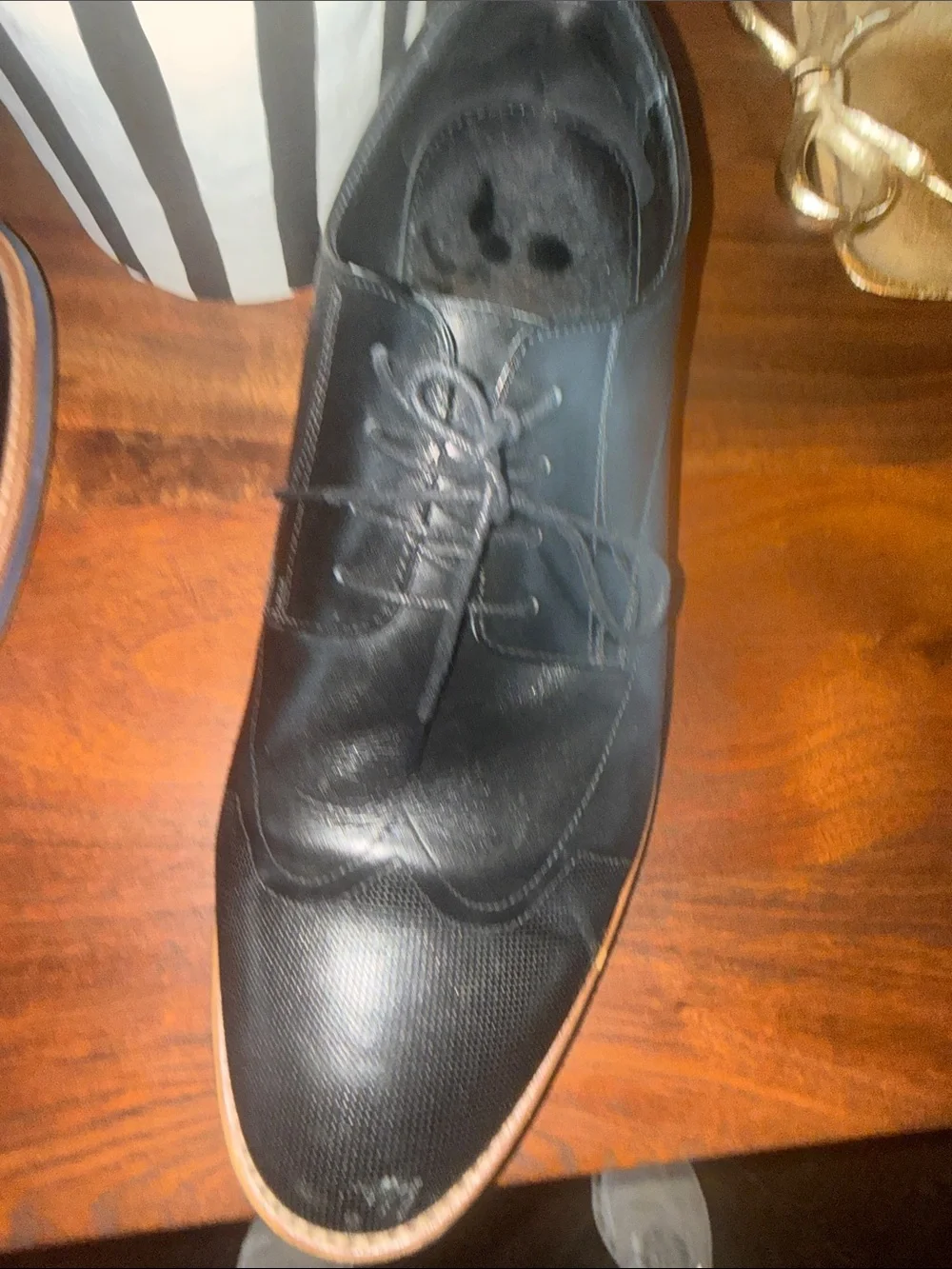 Zanzara classic black